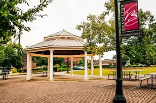 382 Scarlett Rose Way, Hoschton, GA 30548 - Photo 120