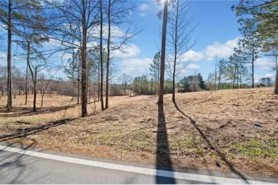 460 Mt. Olive Church Lane, White, GA 30184 - Photo 2