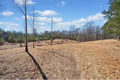 426 Mt. Olive Church Lane, White, GA 30184 - Photo 2