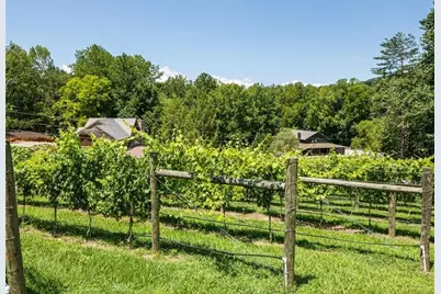 253 Happy Trails Way, Jasper, GA 30143 - Photo 134