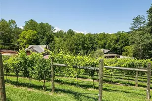 253 Happy Trails Wy, Jasper, GA 30143 - Photo 134