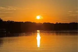 7125 Heard Rd, Cumming, GA 30041 - Photo 74