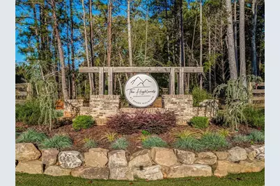 145 Highlands Chase, Ball Ground, GA 30107 - Photo 72