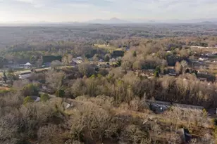 226 Chestnut Ave, Demorest, GA 30535 - Photo 44