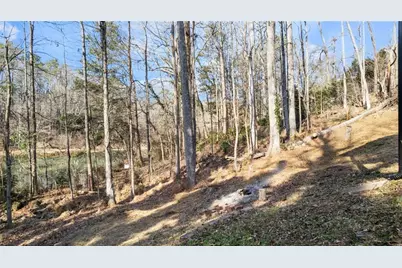 222 Robin Lane, Stockbridge, GA 30281 - Photo 34