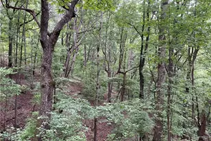 456 Poverty Rd, Murrayville, GA 30564 - Photo 20