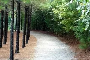 1105 Dapplefawn Ct, Alpharetta, GA 30005 - Photo 72