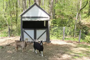 3125 Pine Mountain Circle NW, Kennesaw, GA 30152 - Photo 88