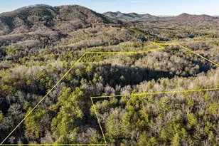 178 Arp Rd, Mineral Bluff, GA 30559 - Photo 74