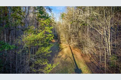 178 Arp Road, Mineral Bluff, GA 30559 - Photo 68