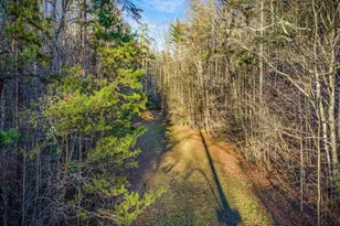 178 Arp Rd, Mineral Bluff, GA 30559 - Photo 68