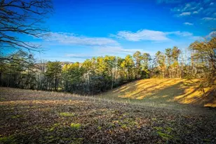 178 Arp Rd, Mineral Bluff, GA 30559 - Photo 50