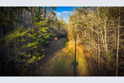 178 Arp Road, Mineral Bluff, GA 30559 - Photo 50