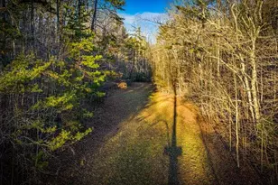 178 Arp Rd, Mineral Bluff, GA 30559 - Photo 50