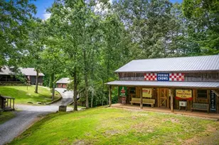 178 Arp Rd, Mineral Bluff, GA 30559 - Photo 48