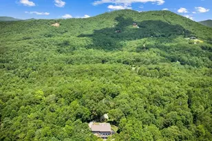 178 Arp Rd, Mineral Bluff, GA 30559 - Photo 66