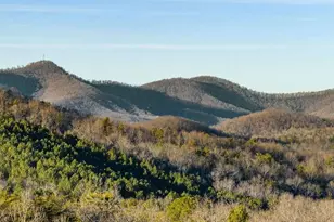 178 Arp Rd, Mineral Bluff, GA 30559 - Photo 4