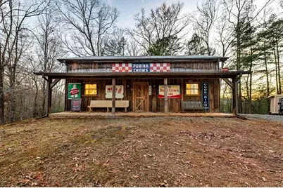 178 Arp Road, Mineral Bluff, GA 30559 - Photo 54