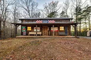 178 Arp Rd, Mineral Bluff, GA 30559 - Photo 54