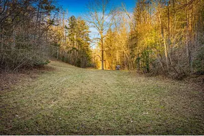 178 Arp Road, Mineral Bluff, GA 30559 - Photo 46