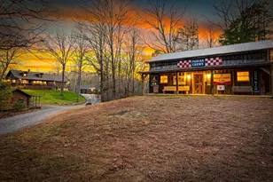 178 Arp Rd, Mineral Bluff, GA 30559 - Photo 52