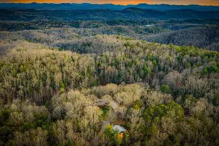 178 Arp Rd, Mineral Bluff, GA 30559 - Photo 56