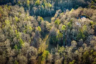 178 Arp Rd, Mineral Bluff, GA 30559 - Photo 56