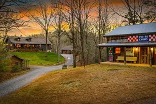 178 Arp Rd, Mineral Bluff, GA 30559 - Photo 6