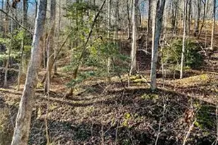 50 Old Stamp Mill Rd, Dahlonega, GA 30533 - Photo 1