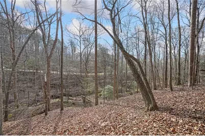 50 Old Stamp Mill Road, Dahlonega, GA 30533 - Photo 16