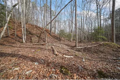 50 Old Stamp Mill Road, Dahlonega, GA 30533 - Photo 14