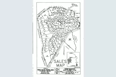 50 Old Stamp Mill Road, Dahlonega, GA 30533 - Photo 20