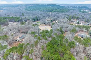 3910 Piney Brook Dr, Loganville, GA 30052 - Photo 56