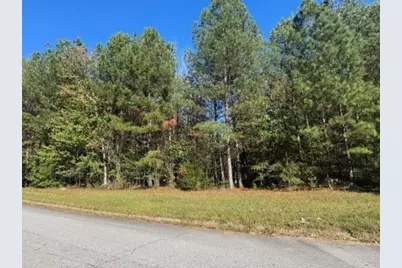 4020 Gold Springs Pass, Villa Rica, GA 30180 - Photo 1