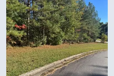 4020 Gold Springs Pass, Villa Rica, GA 30180 - Photo 2