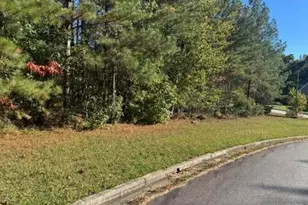 4020 Gold Springs Pass, Villa Rica, GA 30180 - Photo 2