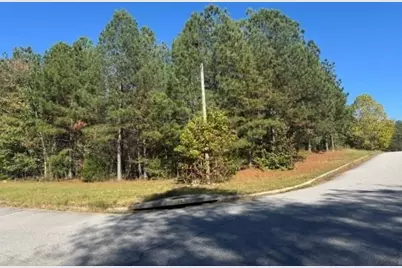 4020 Gold Springs Pass, Villa Rica, GA 30180 - Photo 4