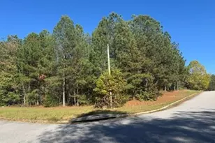 4020 Gold Springs Pass, Villa Rica, GA 30180 - Photo 4