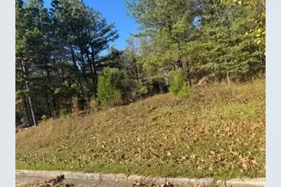 4020 Gold Springs Pass, Villa Rica, GA 30180 - Photo 6