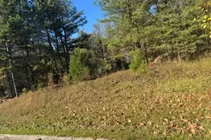 4020 Gold Springs Pass, Villa Rica, GA 30180 - Photo 6