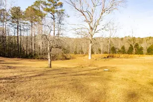 2687 Hwy 155 N, McDonough, GA 30252 - Photo 56