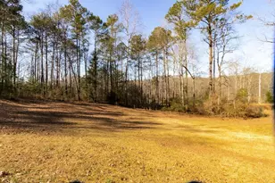 2687 Hwy 155 N, McDonough, GA 30252 - Photo 58