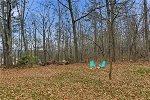 239 Fairview Rd, Ball Ground, GA 30107 - Photo 10