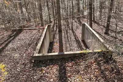 321 Chumbley Road, Dawsonville, GA 30534 - Photo 54