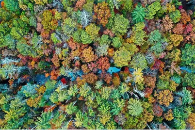 0 Trout Line Court, Talking Rock, GA 30175 - Photo 52