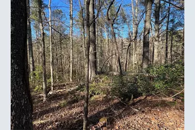 0 Trout Line Court, Talking Rock, GA 30175 - Photo 16