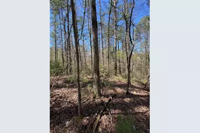 0 Trout Line Court, Talking Rock, GA 30175 - Photo 8