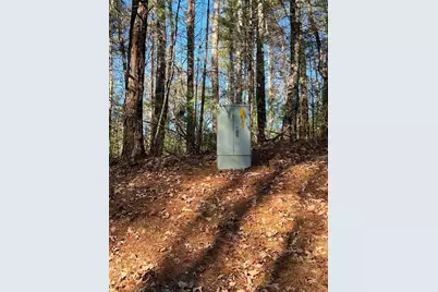 0 Trout Line Court, Talking Rock, GA 30175 - Photo 20