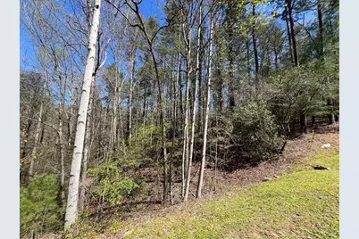 0 Trout Line Court, Talking Rock, GA 30175 - Photo 14