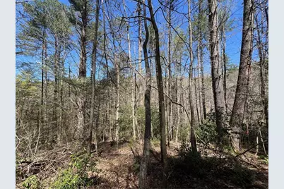 0 Trout Line Court, Talking Rock, GA 30175 - Photo 6